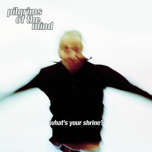 12 Sandcastle (Pilgrims Of The Mind)(TDMed was320kb).mp3