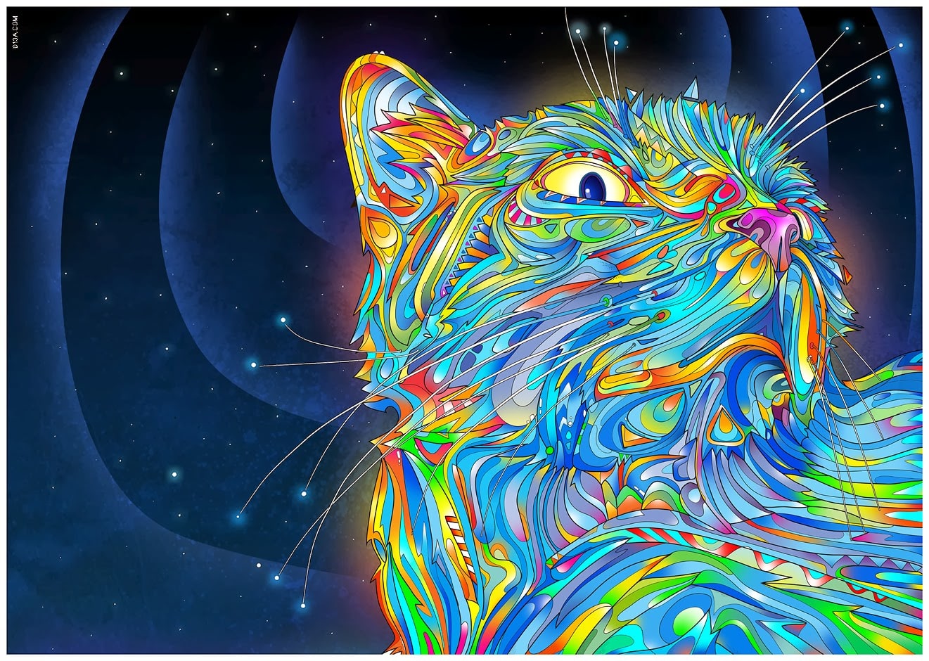 midnight_cat matei apostolescu.jpg