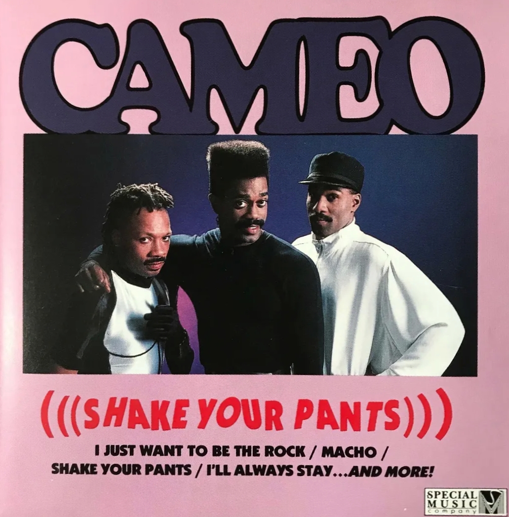 03 Shake Your Pants (Cameo)(TDMed was320kb).mp3